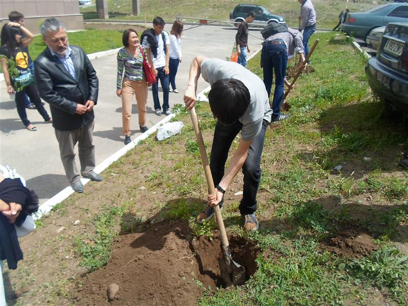 Planting of trees